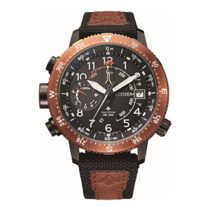 Citizen BN4049-11E Kol Saati