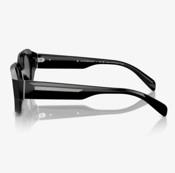 EMPORIO ARMANI EA4230U 501787 48 Güneş Gözlüğü - Görsel 2