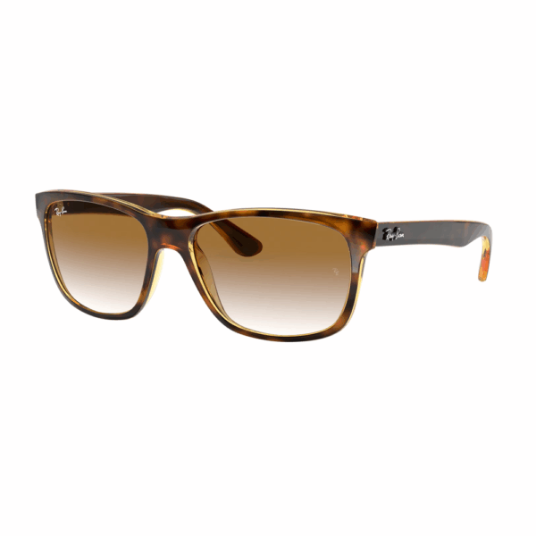Ray-Ban RB4181 710/51 57 Güneş Gözlüğü