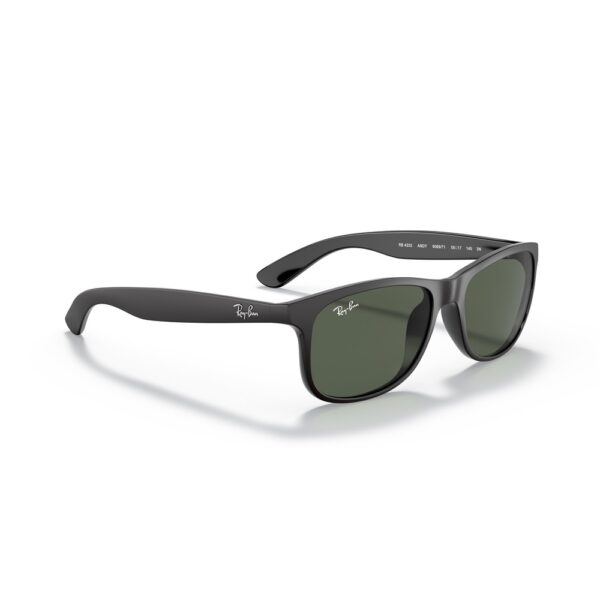 Ray-Ban RB4202 6069/71 55 Andy Güneş Gözlüğü - Görsel 3