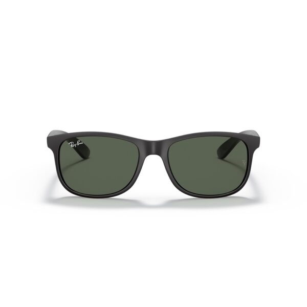 Ray-Ban RB4202 6069/71 55 Andy Güneş Gözlüğü - Görsel 4