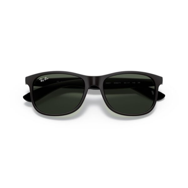 Ray-Ban RB4202 6069/71 55 Andy Güneş Gözlüğü - Görsel 5