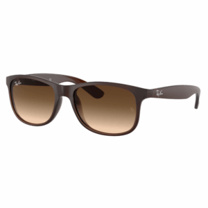 Ray-Ban RB4202 6073/13 55 Andy Güneş Gözlüğü