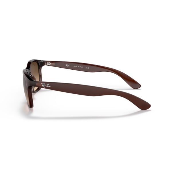 Ray-Ban RB4202 6073/13 55 Andy Güneş Gözlüğü - Görsel 2