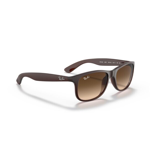 Ray-Ban RB4202 6073/13 55 Andy Güneş Gözlüğü - Görsel 3