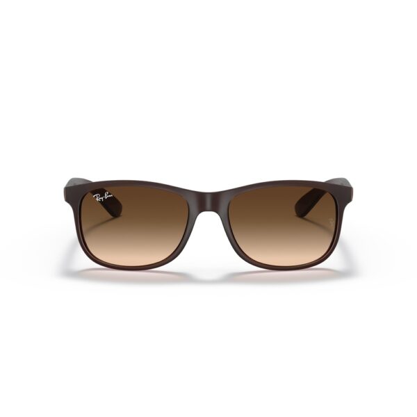 Ray-Ban RB4202 6073/13 55 Andy Güneş Gözlüğü - Görsel 4