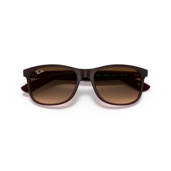 Ray-Ban RB4202 6073/13 55 Andy Güneş Gözlüğü - Görsel 5