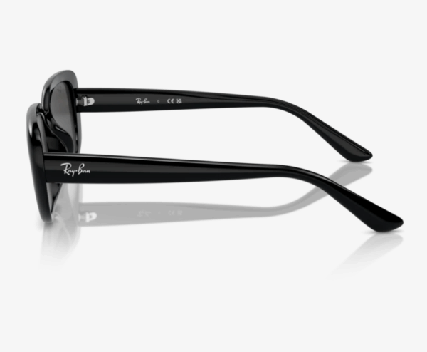 Ray-Ban RB4421D 667787 56 Güneş Gözlüğü - Görsel 2