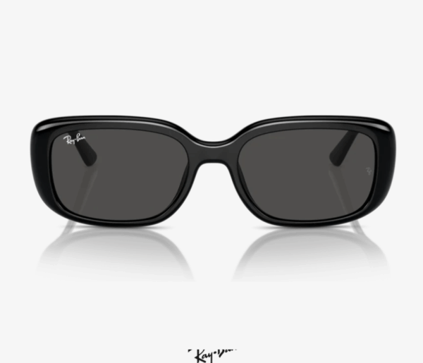Ray-Ban RB4421D 667787 56 Güneş Gözlüğü - Görsel 3