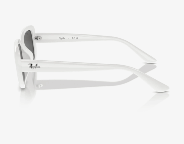 Ray-Ban RB4421D 677287 56 Güneş Gözlüğü - Görsel 2