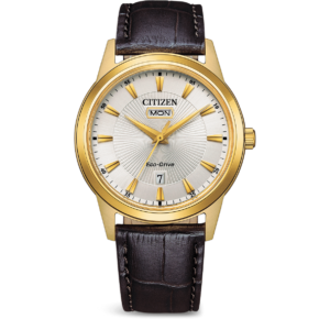 Citizen AW0102-13AE Eco-Drive Erkek Kol Saati